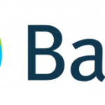 Bayer-Cross-LType_Basic